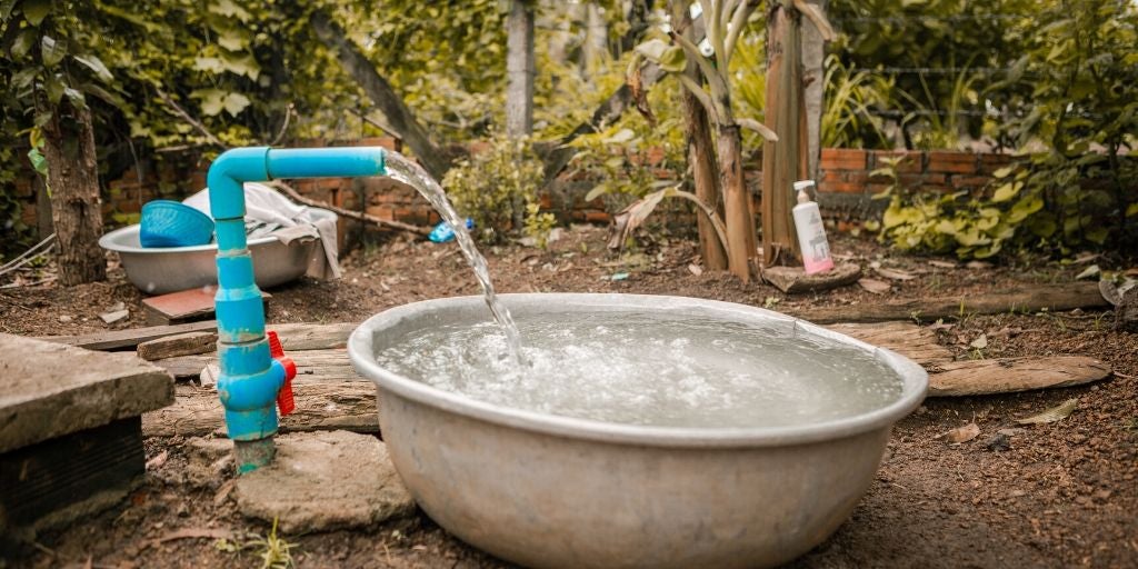 Bowl of clean water