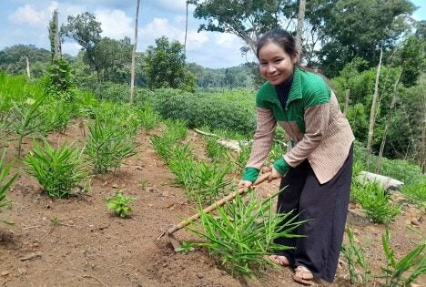 woman digging in garden