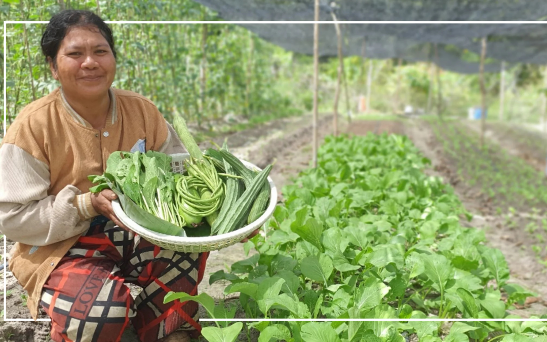 Harvesting Hope: Women Today and Women in the Bible