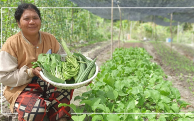 Harvesting Hope: Women Today and Women in the Bible