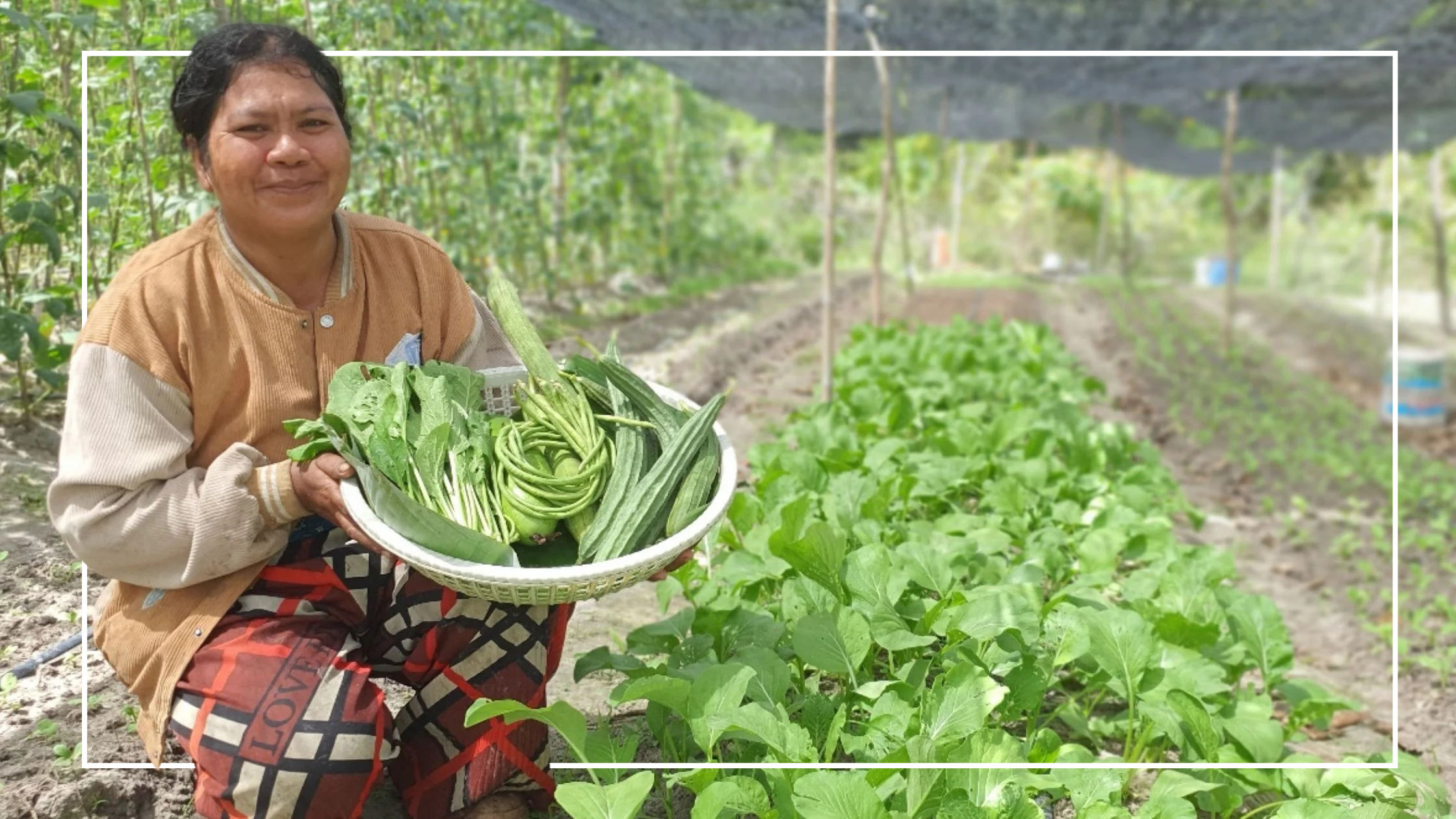 Harvesting Hope Cambodian woman holding a bowl full of harvested vegetables