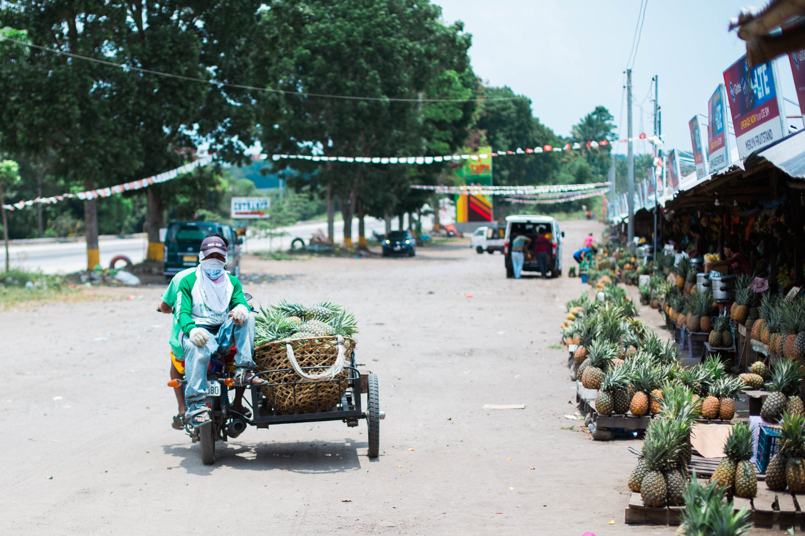 Moto with sidecar and pineapples