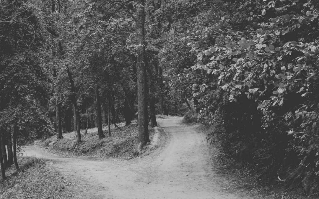 Shaped by the Kingdom