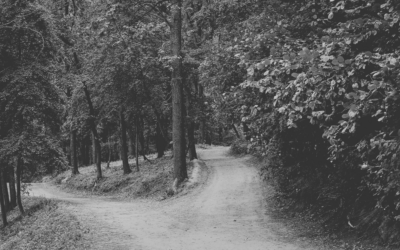 Shaped by the Kingdom