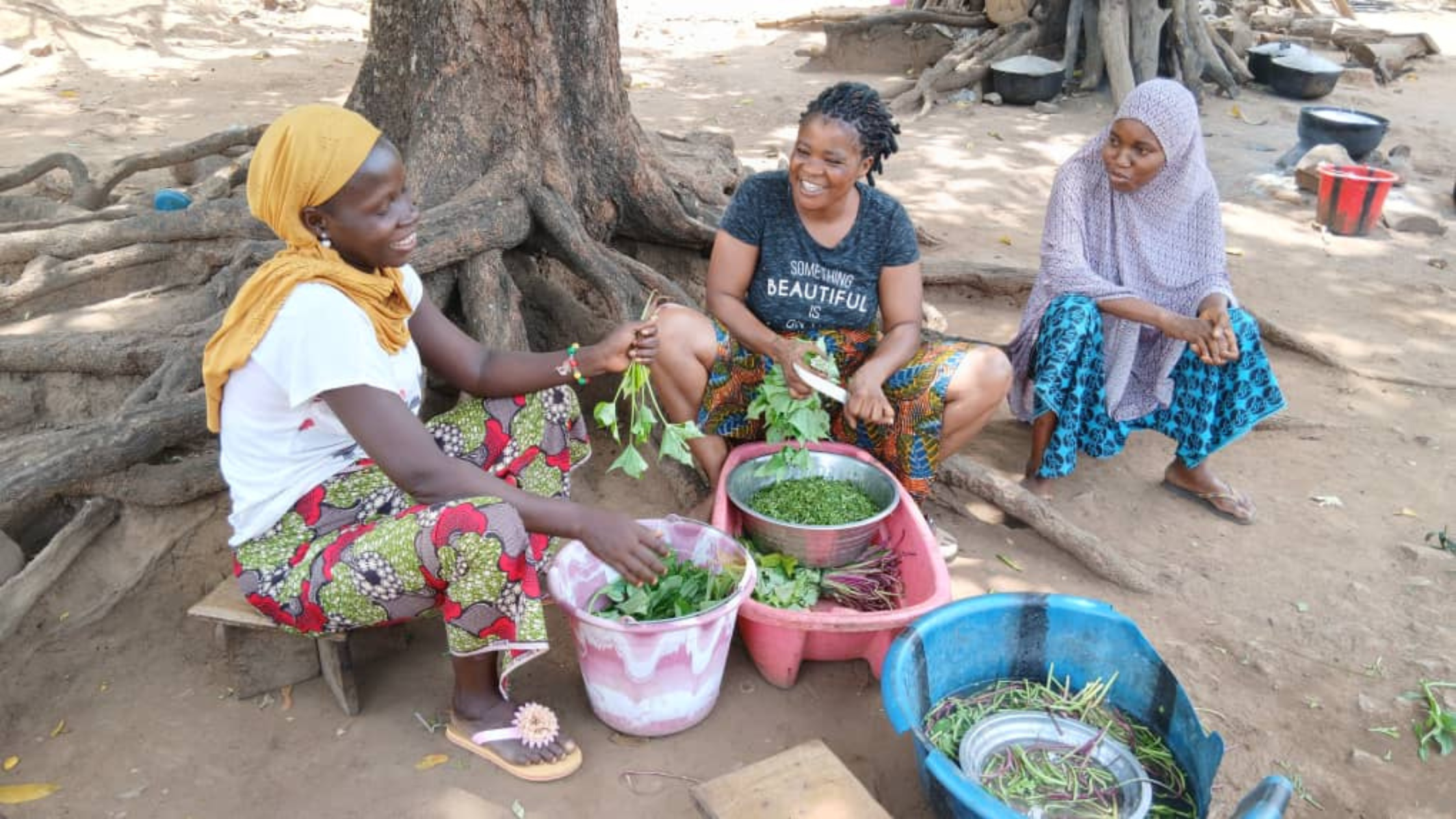 3 Sierra Leonian women sitting under a tree cleaning produce